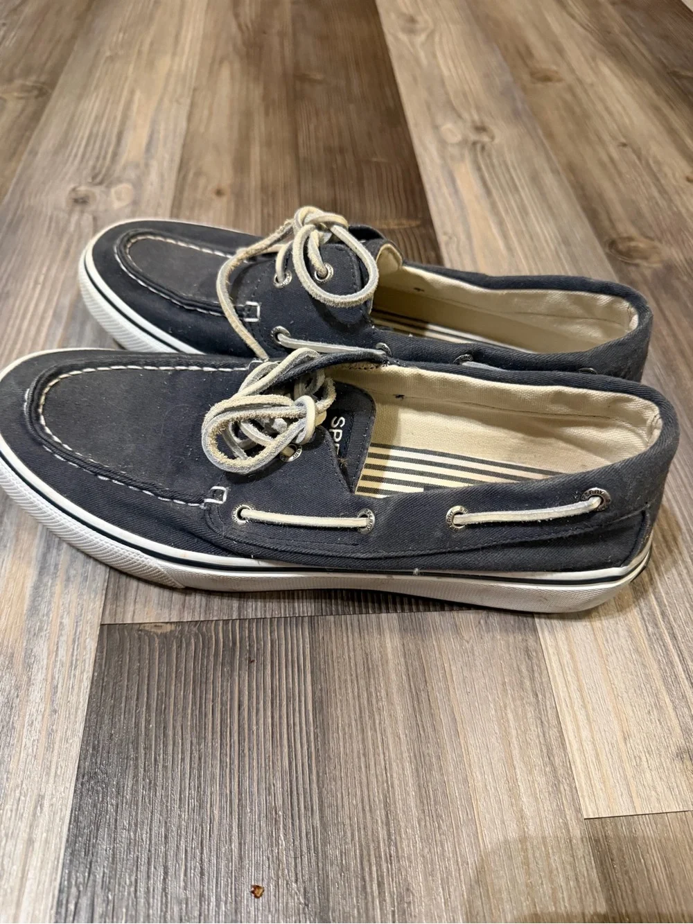 Sperry Men’s Navy Canvas Boat Shoes